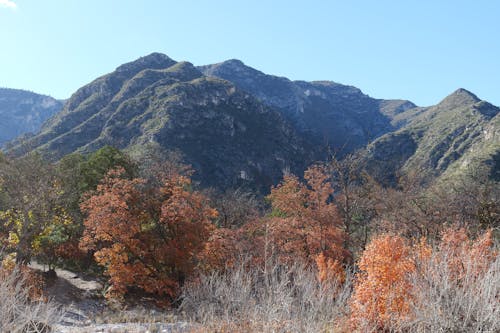 Δωρεάν στοκ φωτογραφιών με background, tx, βουνά