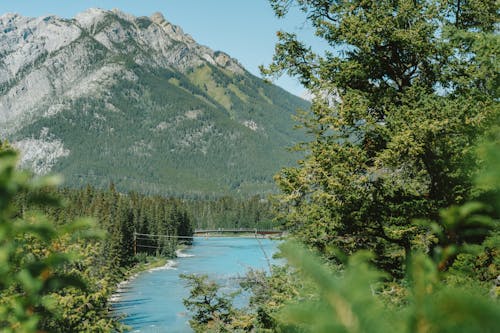 River at the Foot of the Mountain in Banff National Park