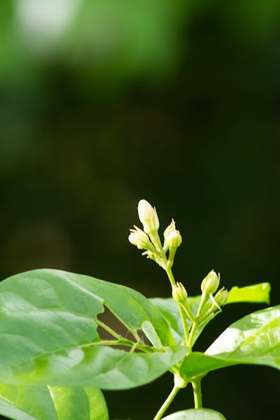 祝男闺蜜生日快乐的说说 祝男闺蜜生日祝福语高情商