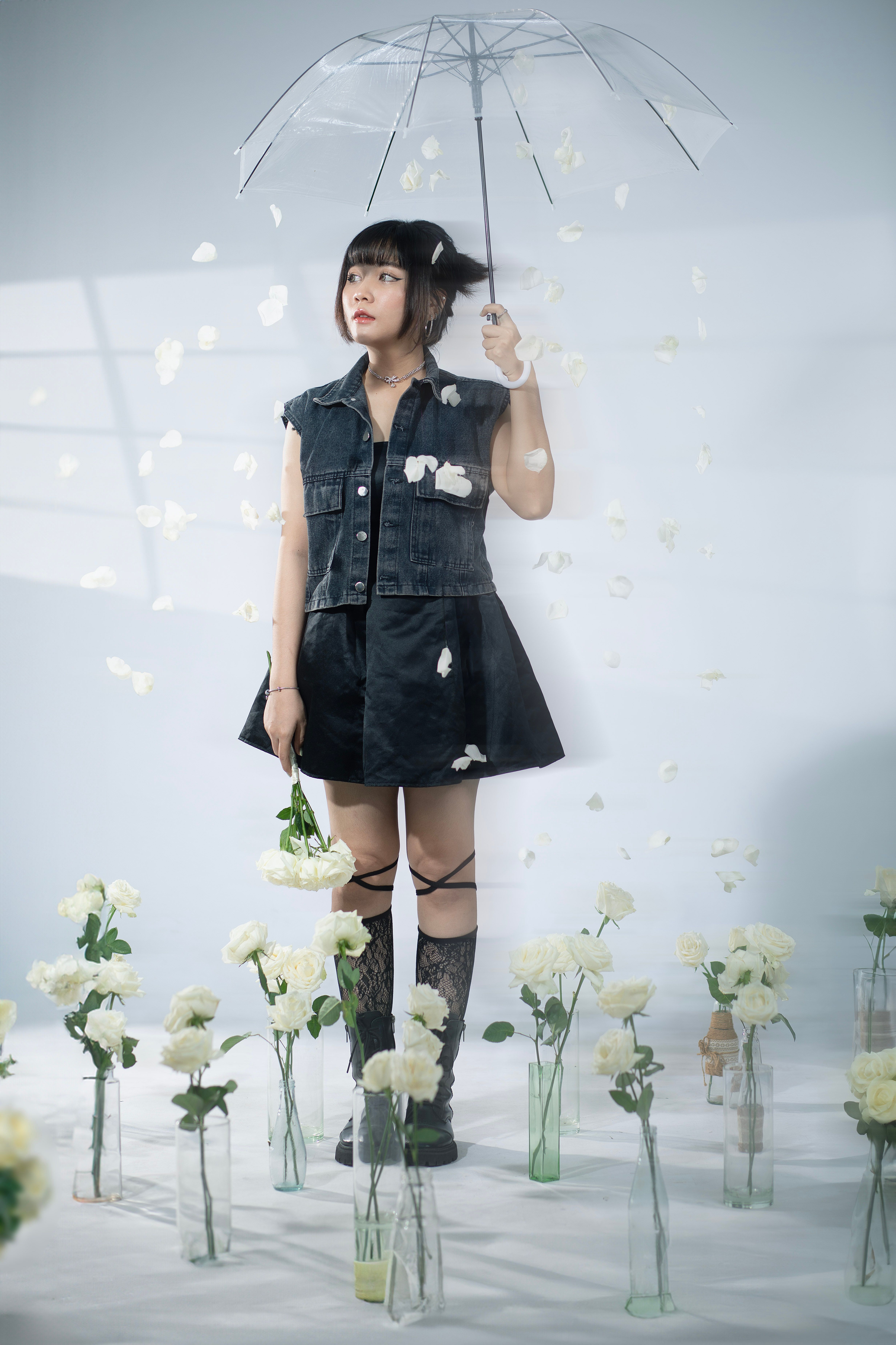 100,000+张最精彩的“Butterfly Transparent Background”图片 · 100%免费下载 · Pexels素材图片