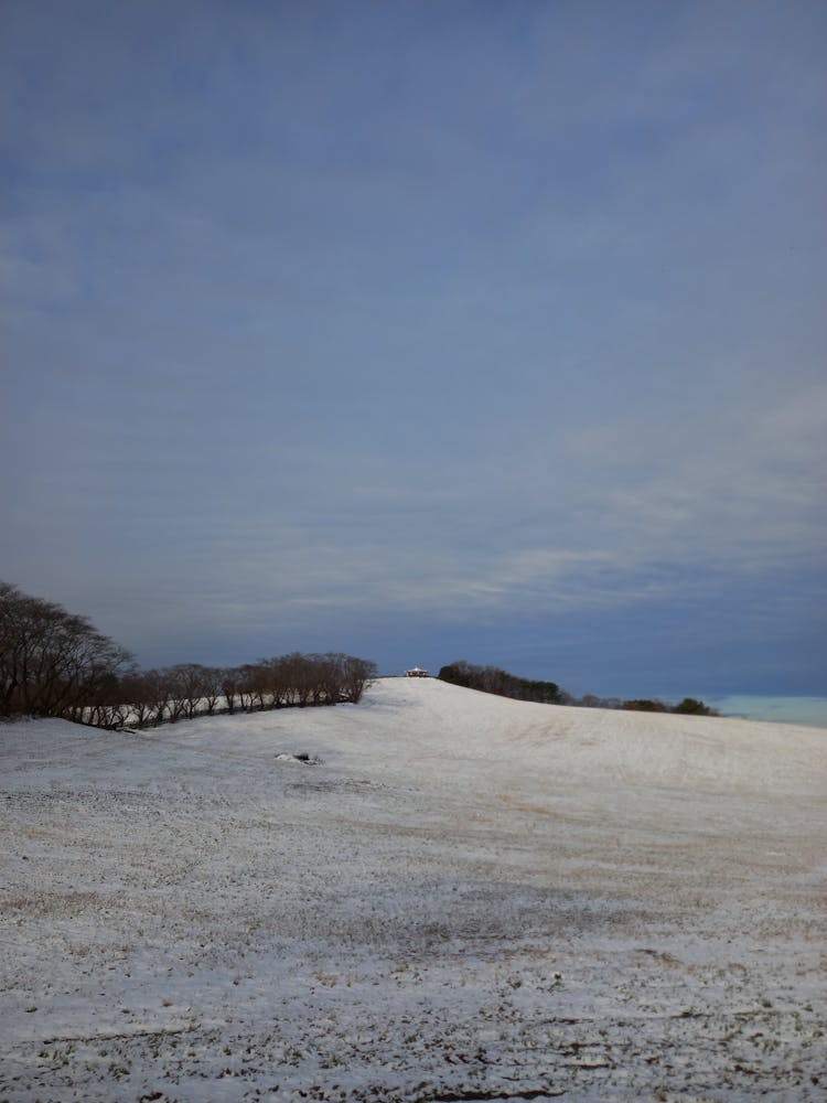 Snowy Field In Winter