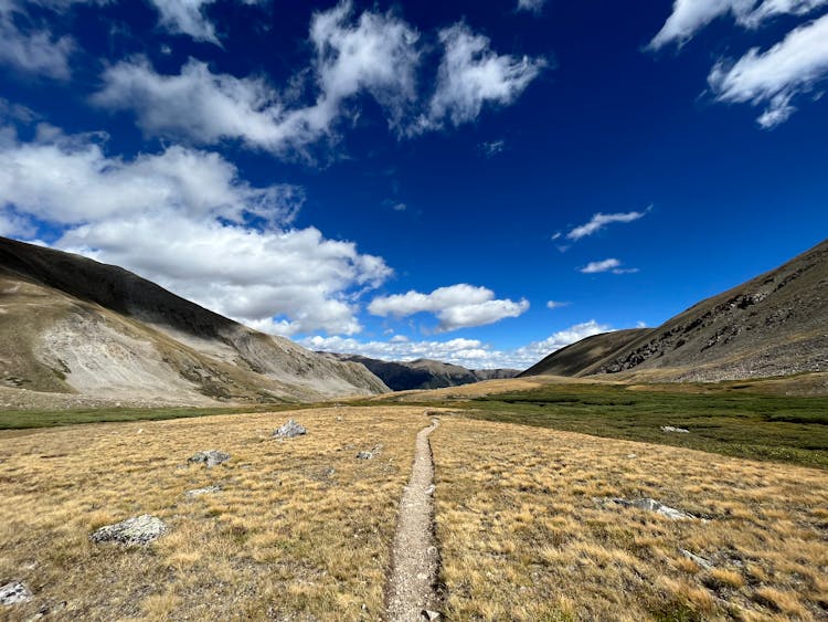 Field In A Mountain Valley 