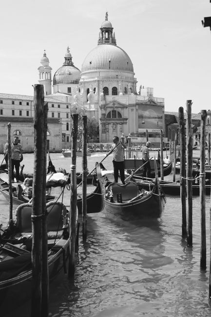 Black and white photo of gondolas on the Grand Canal with Santa Maria della Salute in Venice.