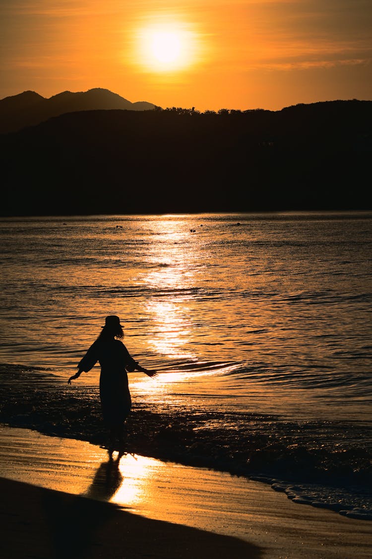 Silhouette Of Woman Standing On Sea Shore At Sunset