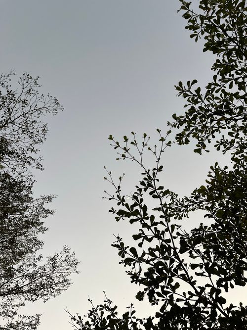 Free stock photo of moon Stock Photo