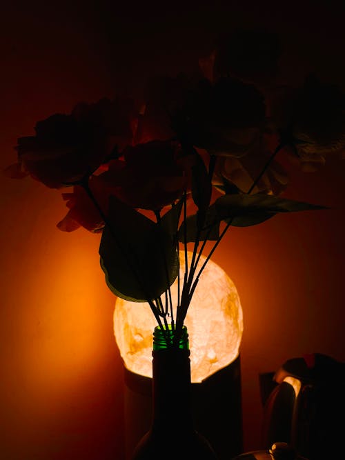 flower pot in warm light 