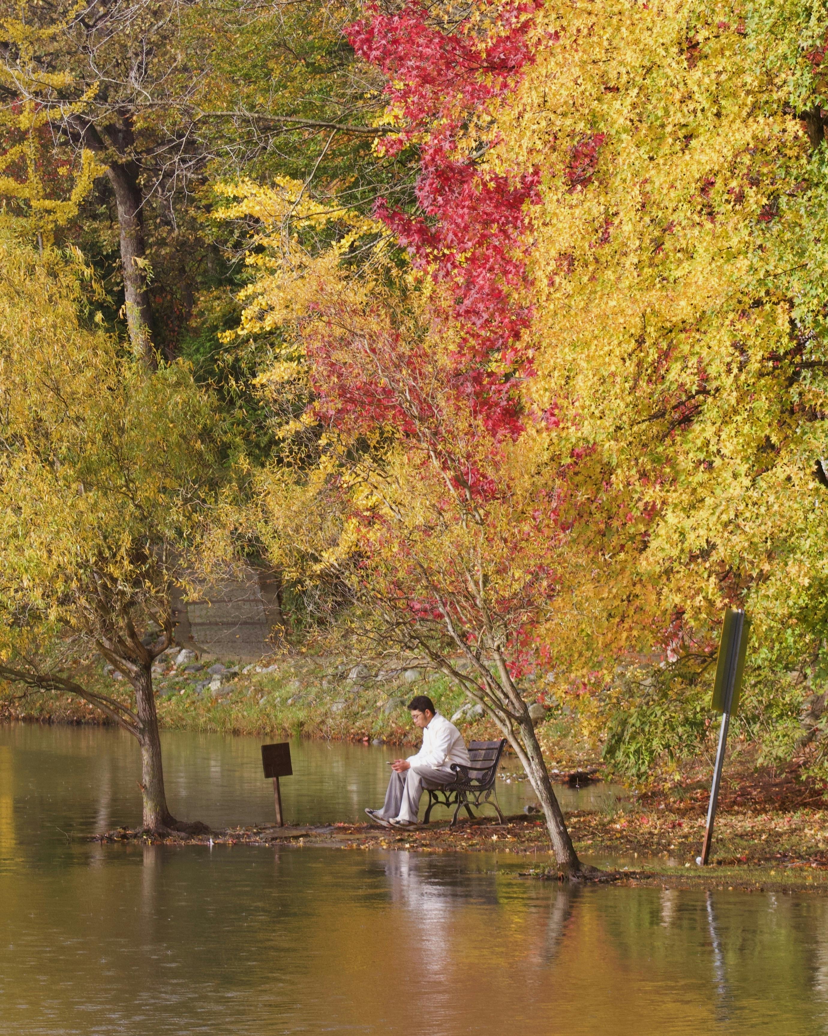 Man Sitting on a Bench by the Water under Autumnal Trees · Free Stock Photo