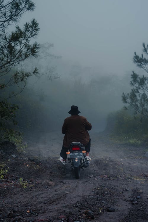 Back View of a Cyclist Riding in a Forest in Mist