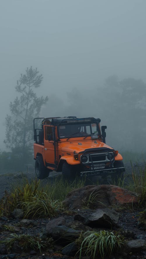 Jeep Off Road in Fog