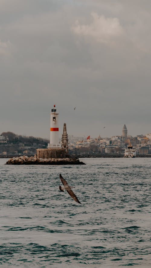 bina, deniz, deniz feneri içeren Ücretsiz stok fotoğraf