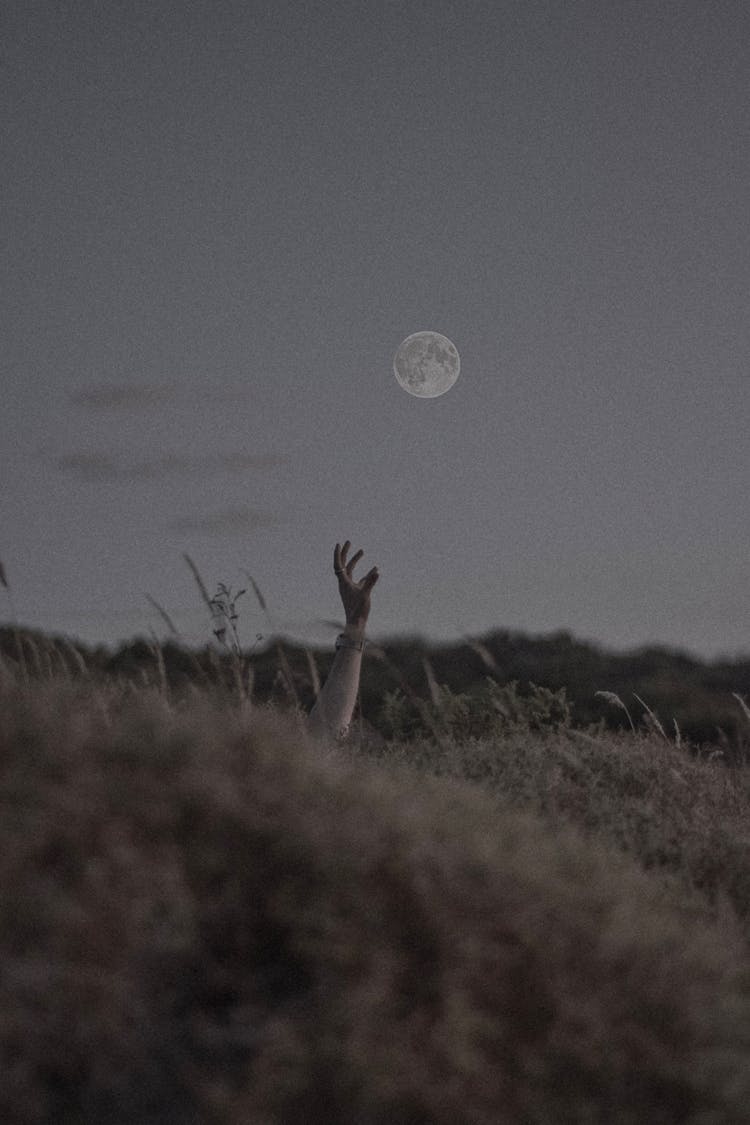 Human Hand On A Field At Dawn 