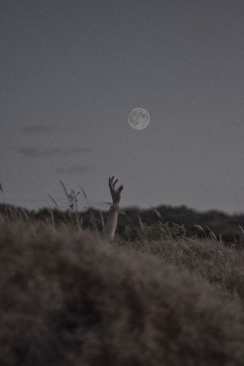 Free A hand reaching towards the moon in a rural Istanbul landscape at dawn. Stock Photo