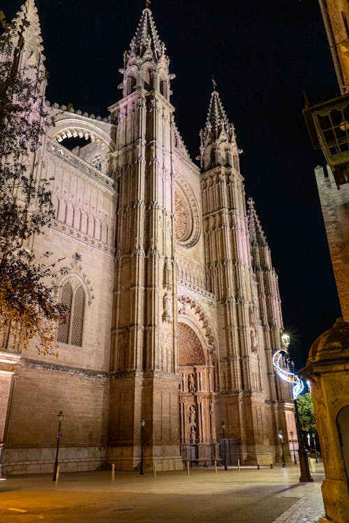Front of Gothic Palma Cathedral at Night