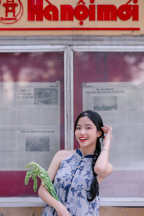 Foto profissional grátis de bandeira, beleza, garota vietnamita