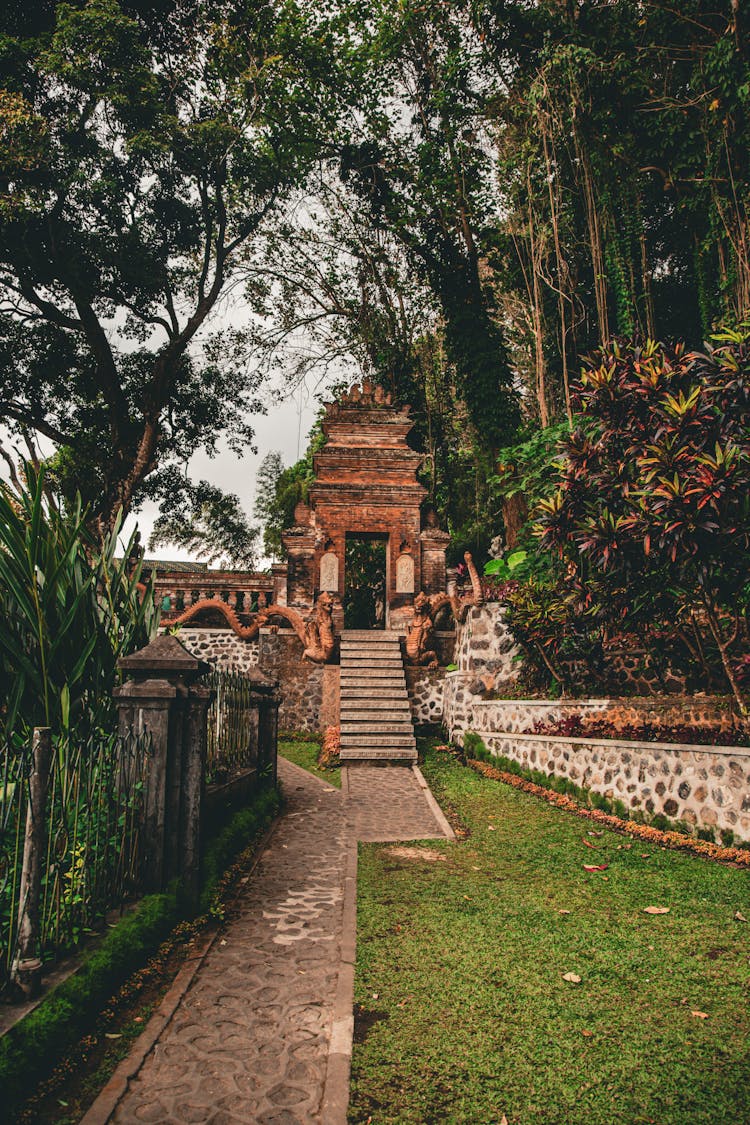 Trees Around Ancient Temple