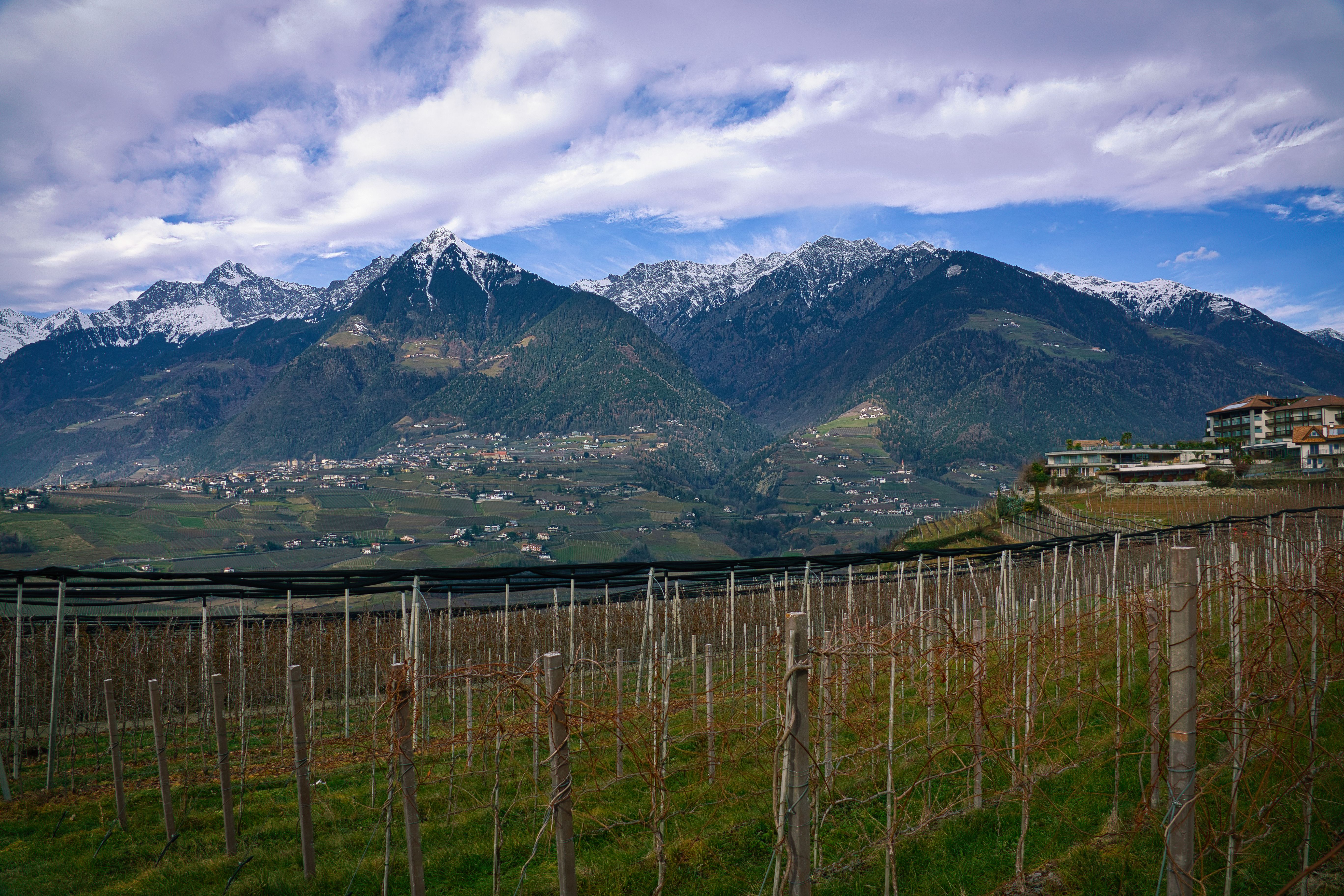 Serene vineyards in Schenna, Italy, with snow-capped mountains and picturesque countryside.
