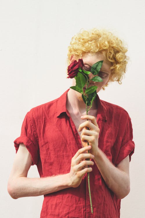 Man Wearing Red Dress Shirt Holding Red Rose