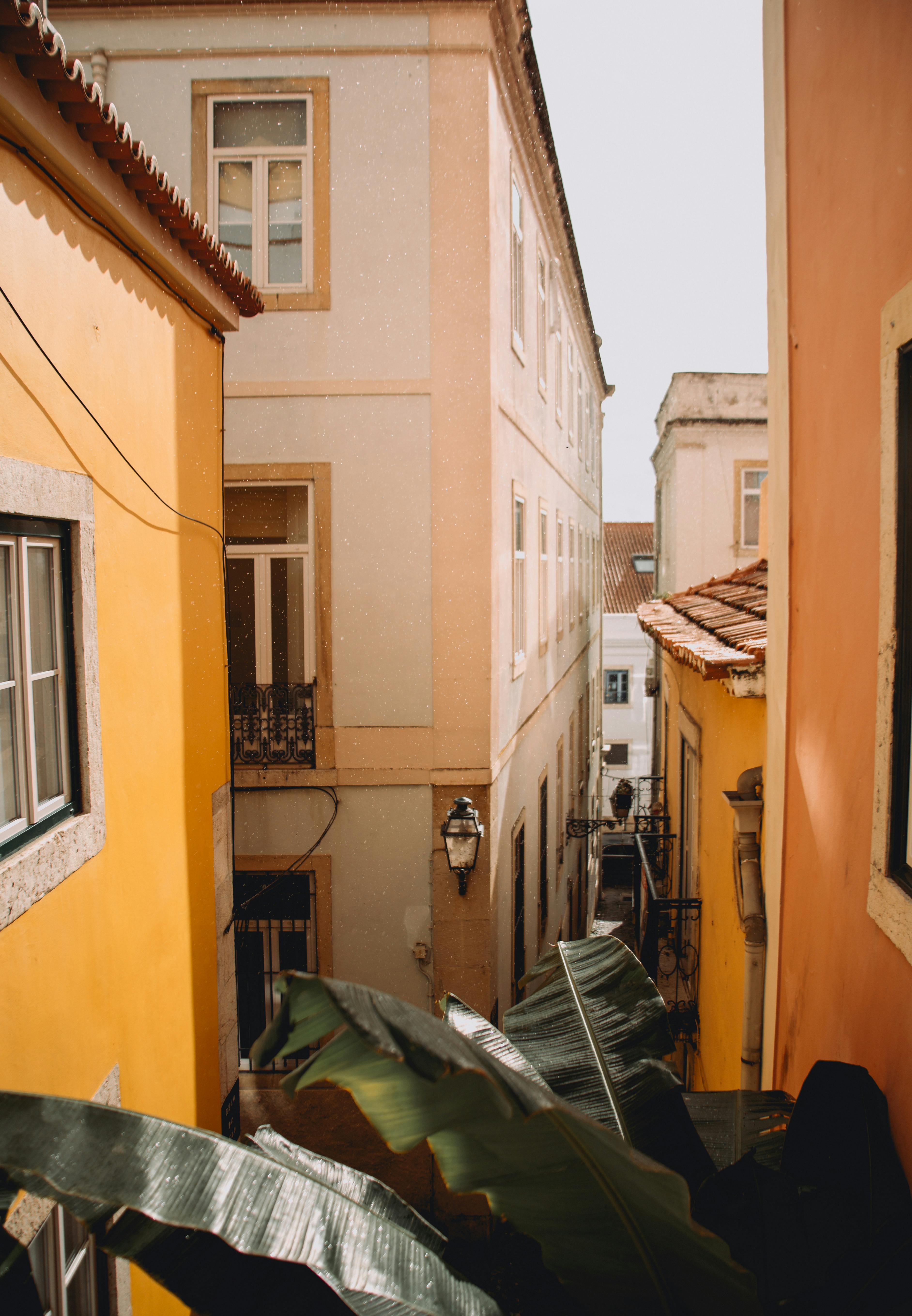 Sunlit narrow alley with colorful buildings, lush plants, and urban charm.
