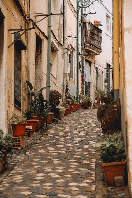 Narrow Alley in Town in Italy 