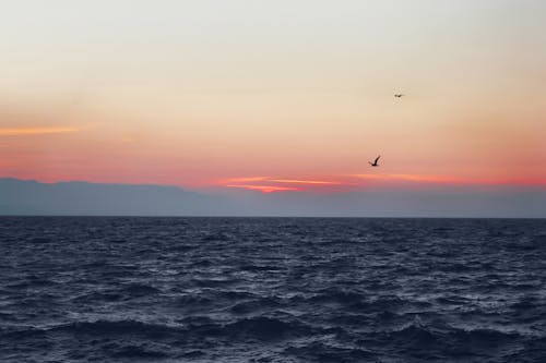 Free stock photo of landscape, sea, sunset