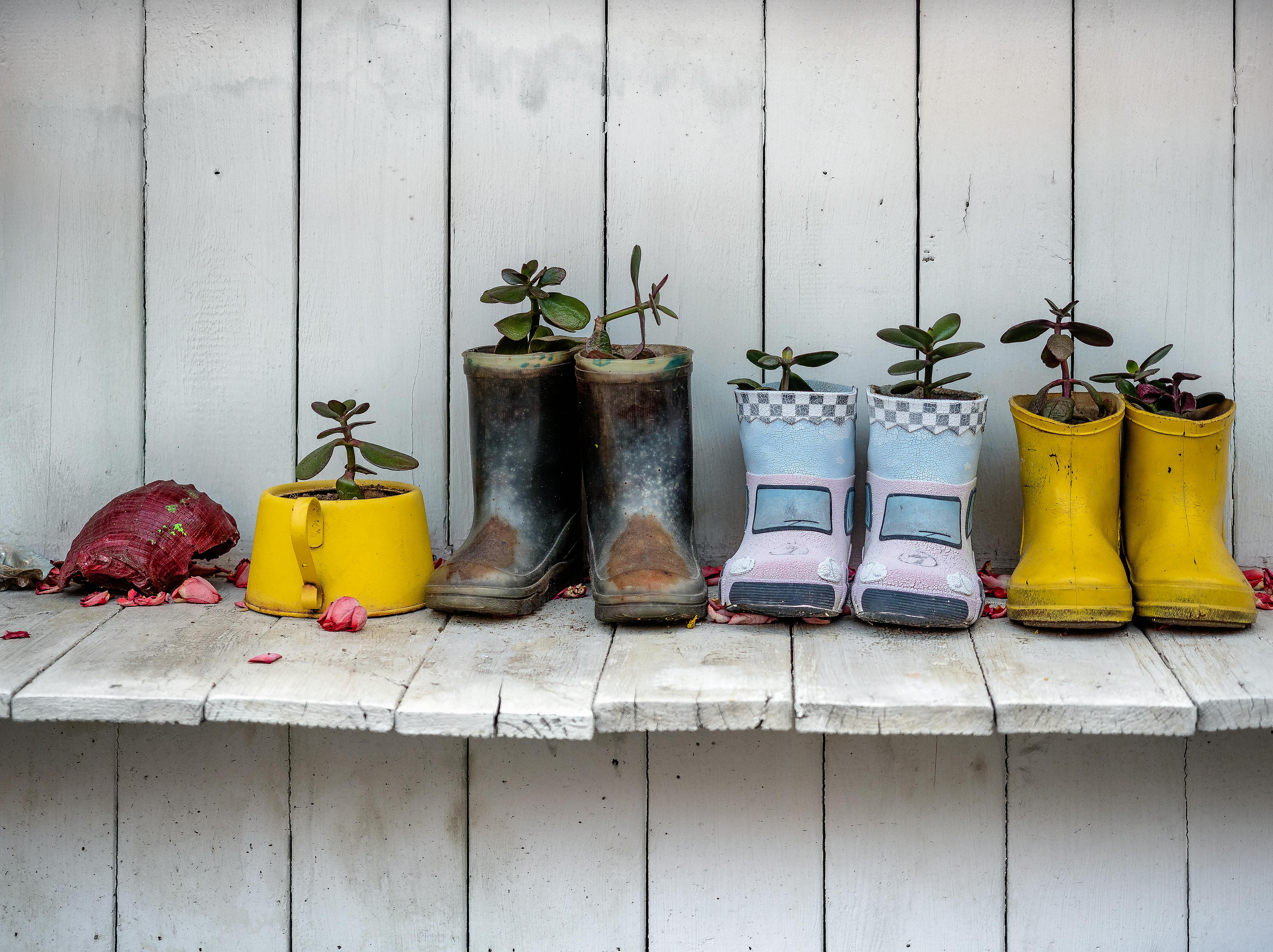 plants in rain boots