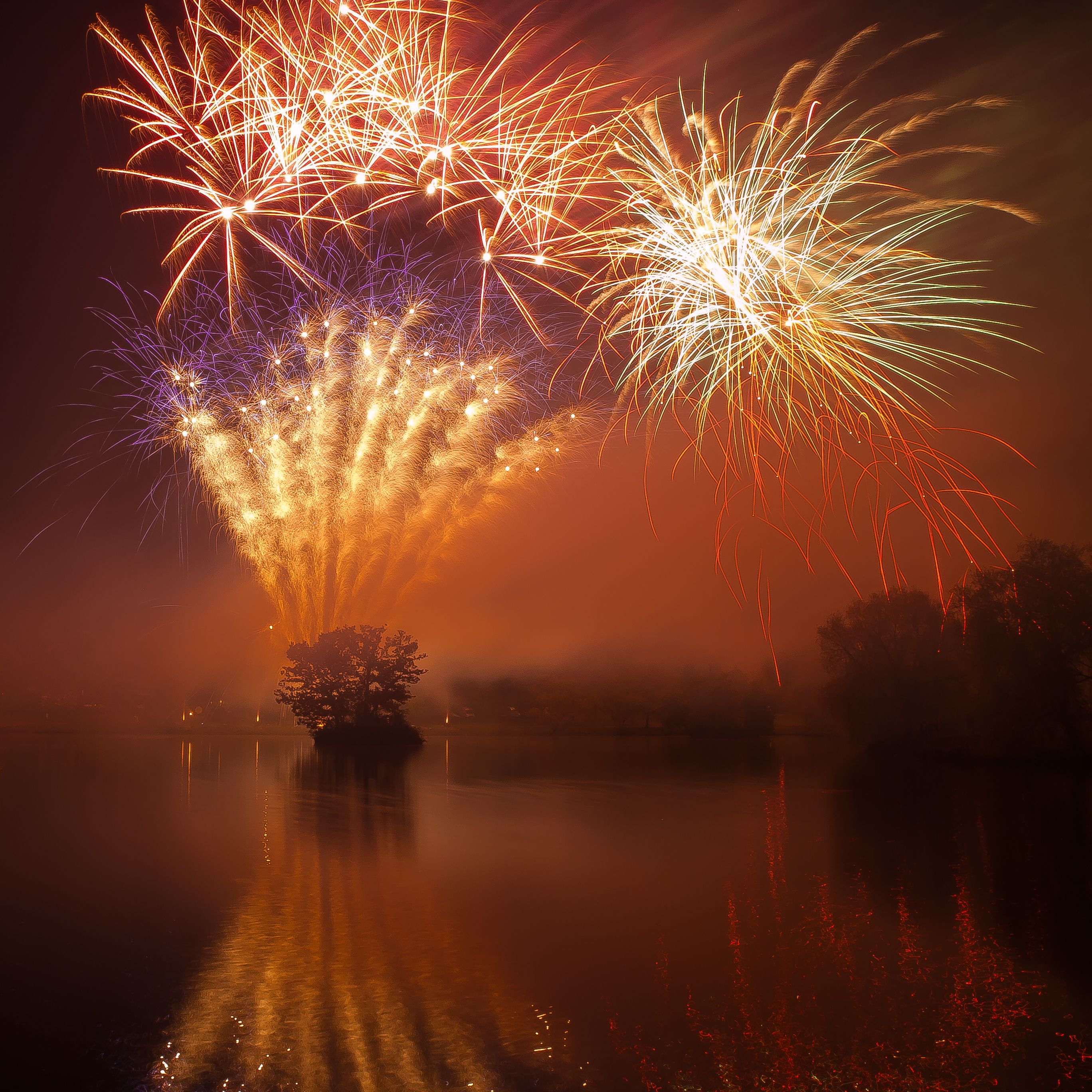 Colorful Fireworks at Night