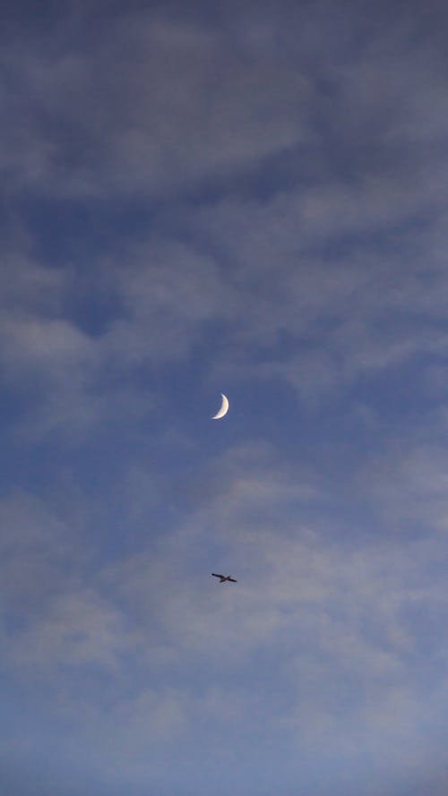 açık mavi gökyüzü, açık-fotoğrafçılık, ay çöreği içeren Ücretsiz stok fotoğraf