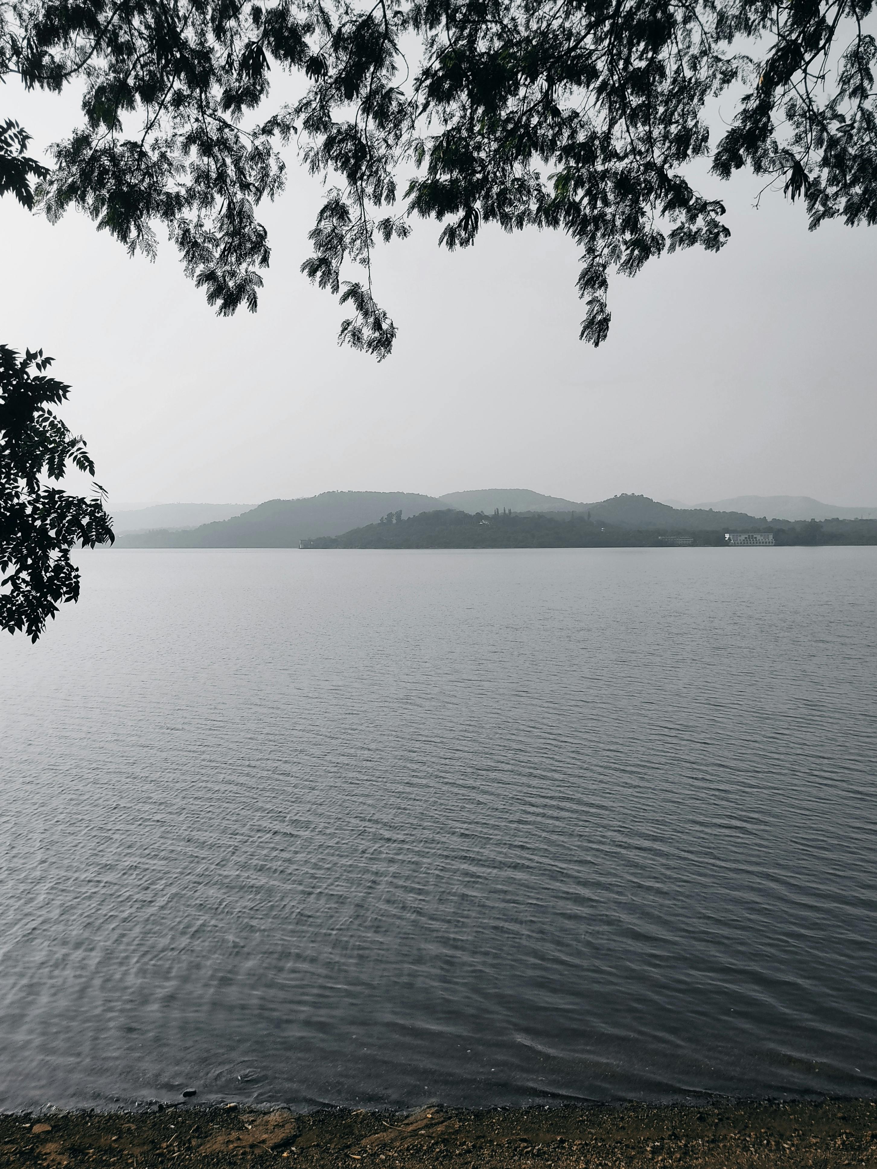 A tranquil lake with distant hills and an overhanging tree branch, creating a scenic view.