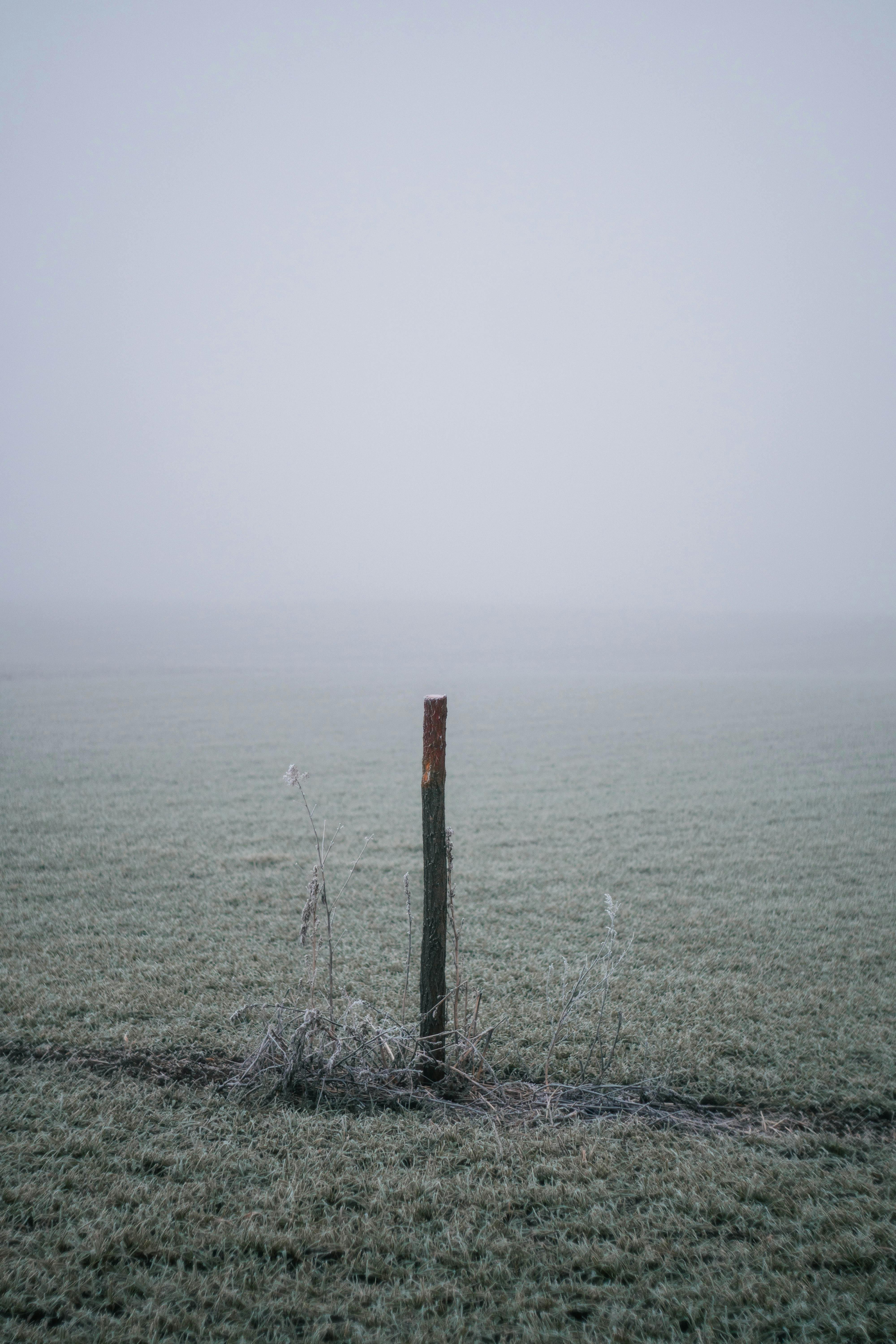 How to Get Guest Post Opportunities Without Cold Emails Effortlessly 3 Say Goodbye to Cold Emails: 5 Innovative Methods for Landing Guest Post Opportunities