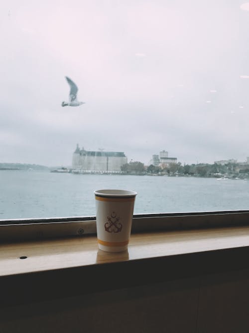 Cup of Coffee by the Window 