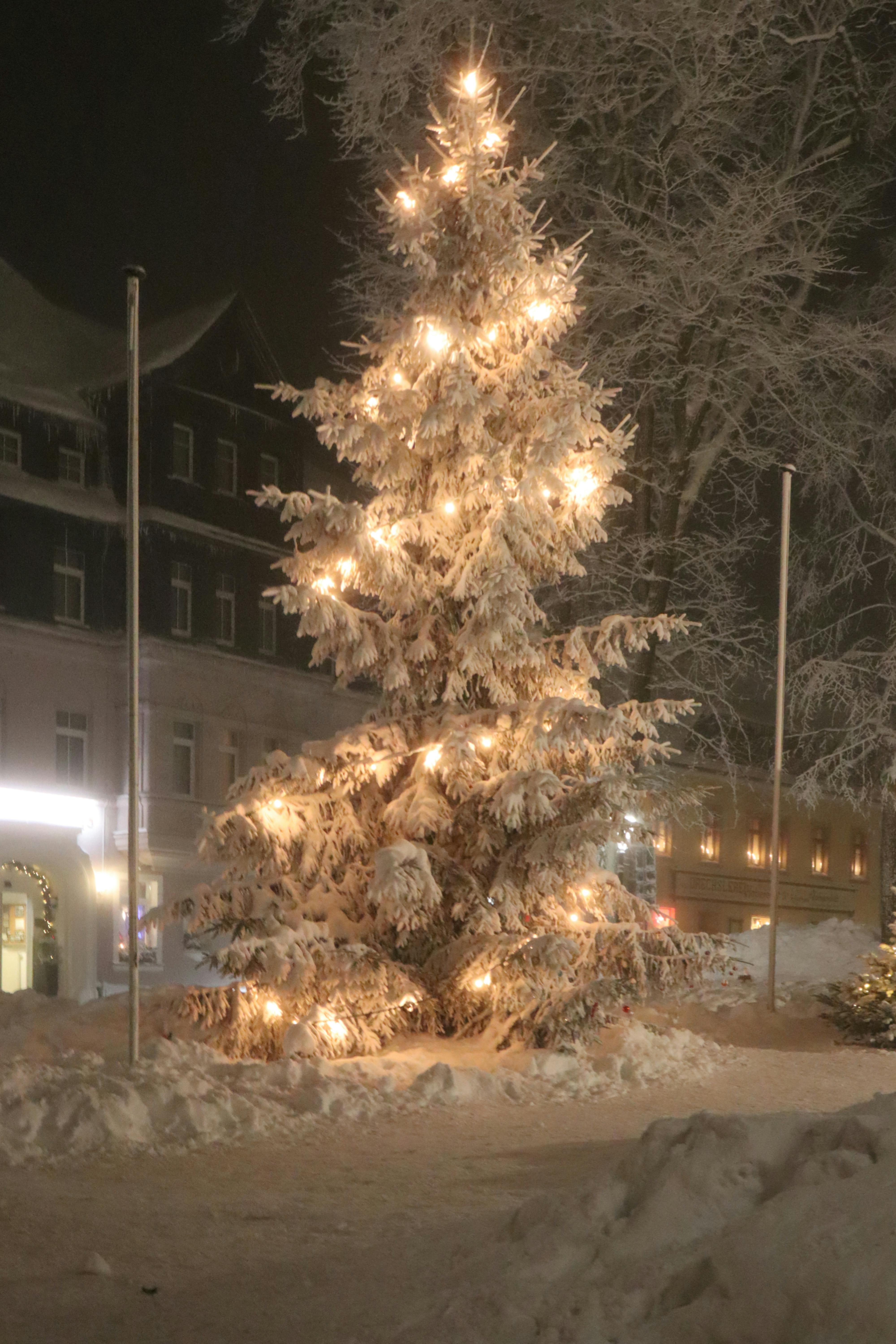 Bradul de Crăciun a sosit astăzi în Piața Sfatului din Brașov