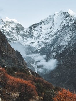 Image by Marina Zvada