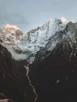 Image by Marina Zvada