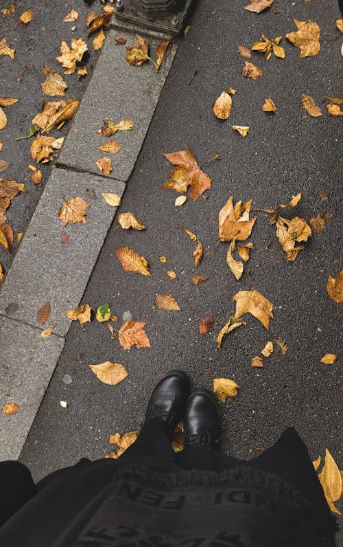 Leaves on the Ground 