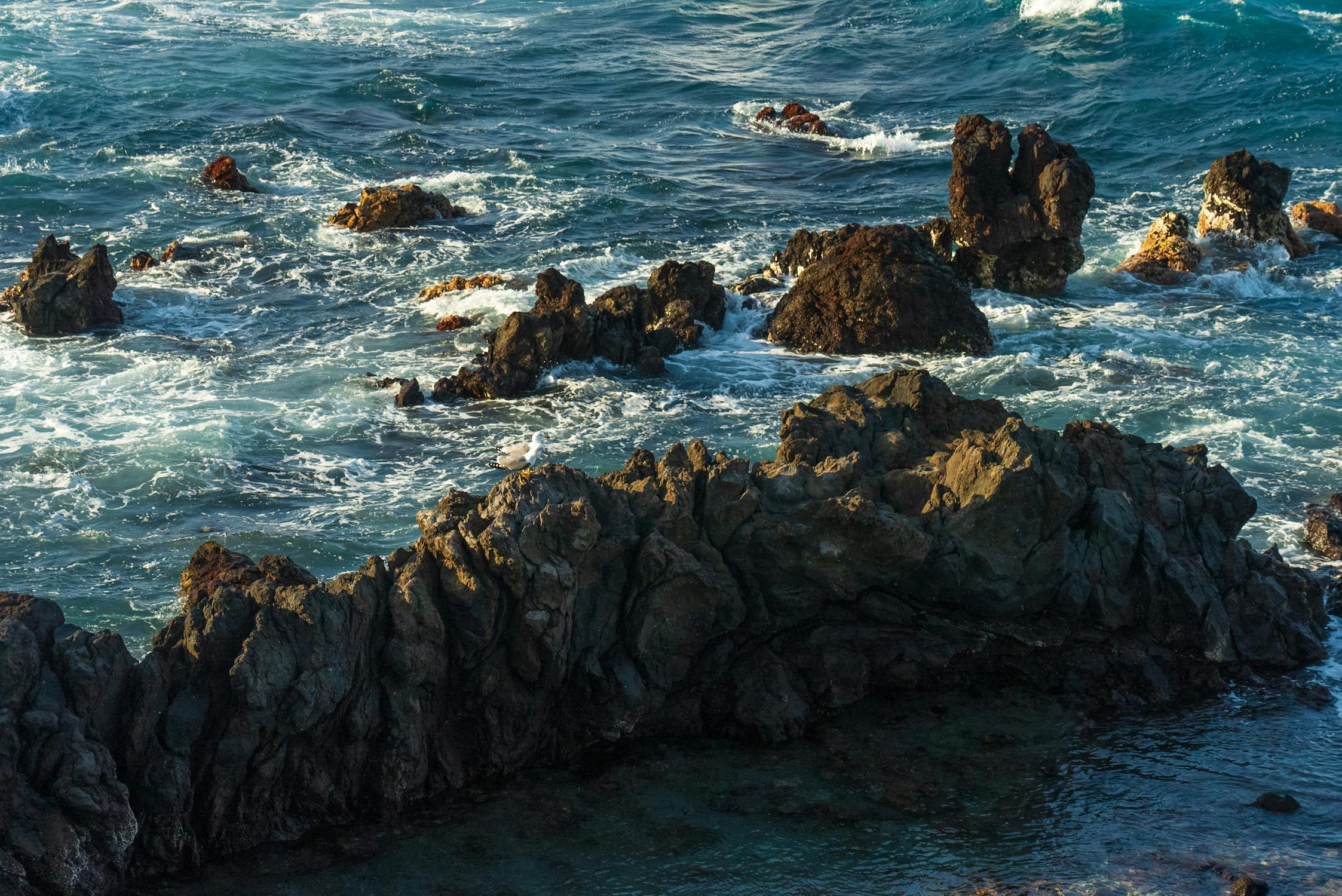 Barren Rocks on Sea Shore · Free Stock Photo