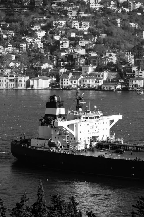 Free Black and white photo of a large cargo ship passing by a coastal townscape. Stock Photo