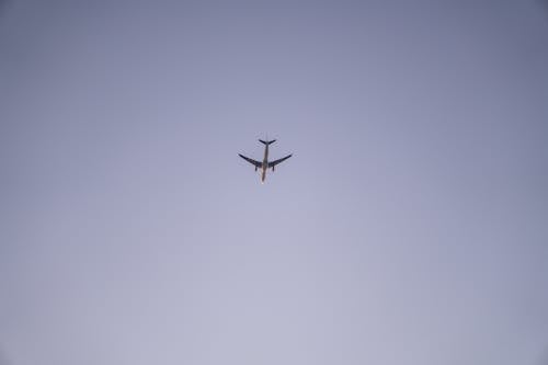 Безкоштовне стокове фото на тему «Авіація, жаб’яча перспектива, літак»