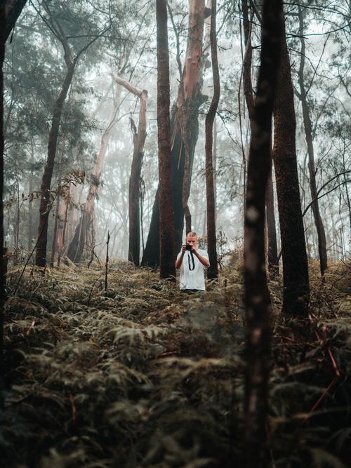 Free Man photographing in misty forest at Springbrook, Australia. Stock Photo