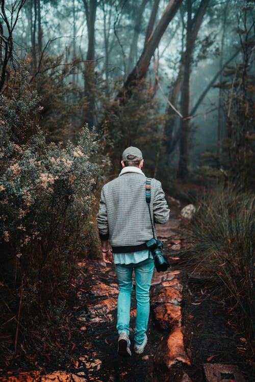 Základová fotografie zdarma na téma chůze, fotoaparát, les