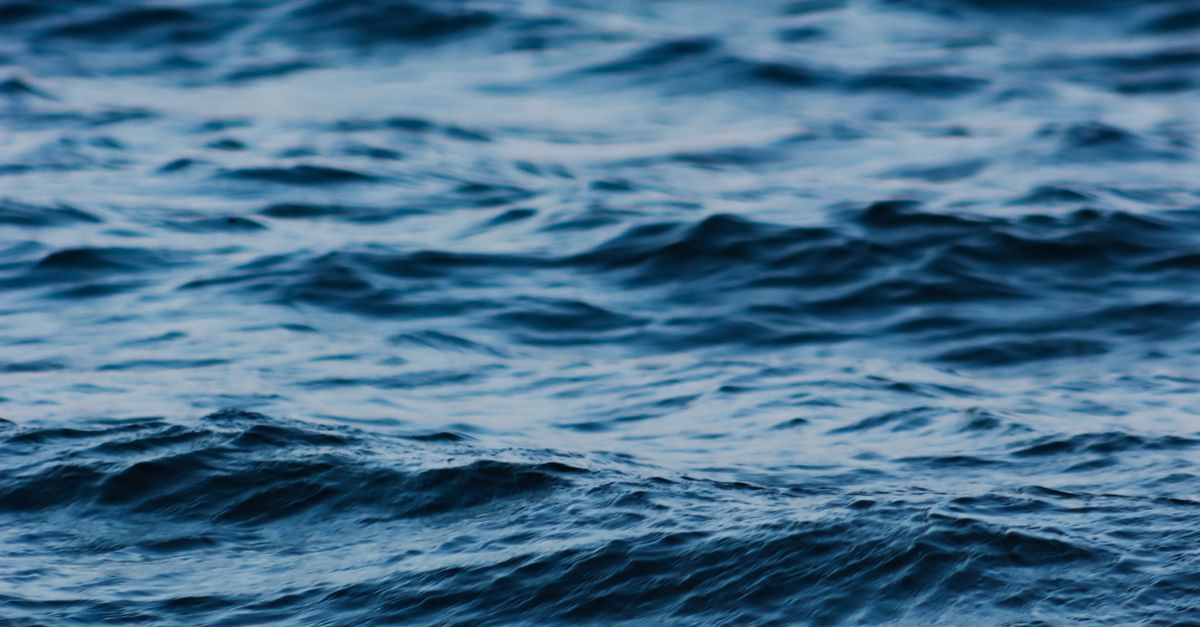 Wavy Fishy Surface of Wavy Water · Free Stock Photo