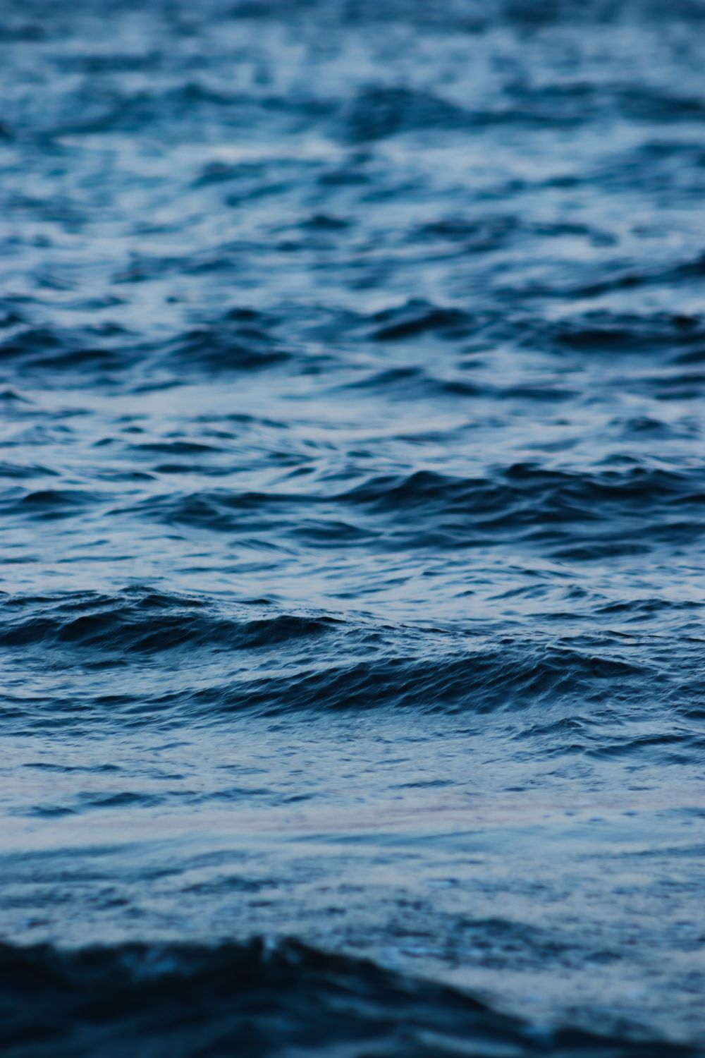 Wavy Fishy Surface of Wavy Water · Free Stock Photo