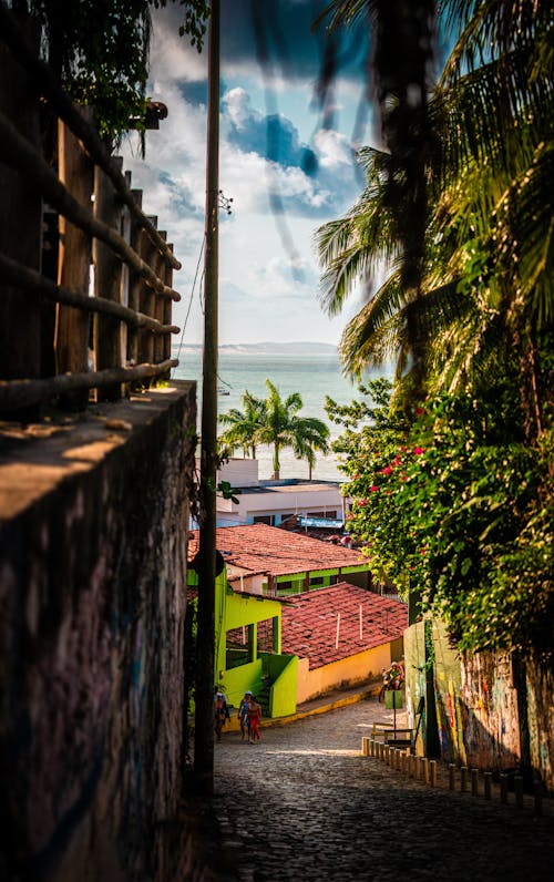 Бесплатное стоковое фото с paraiso, бразилия, жизнь