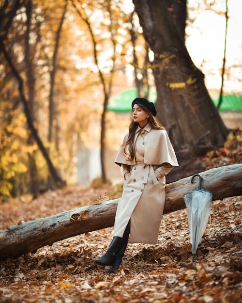 가을, 공원, 셀렉티브 포커스의 무료 스톡 사진