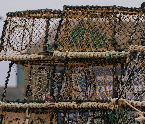 Close up of Fishing Net