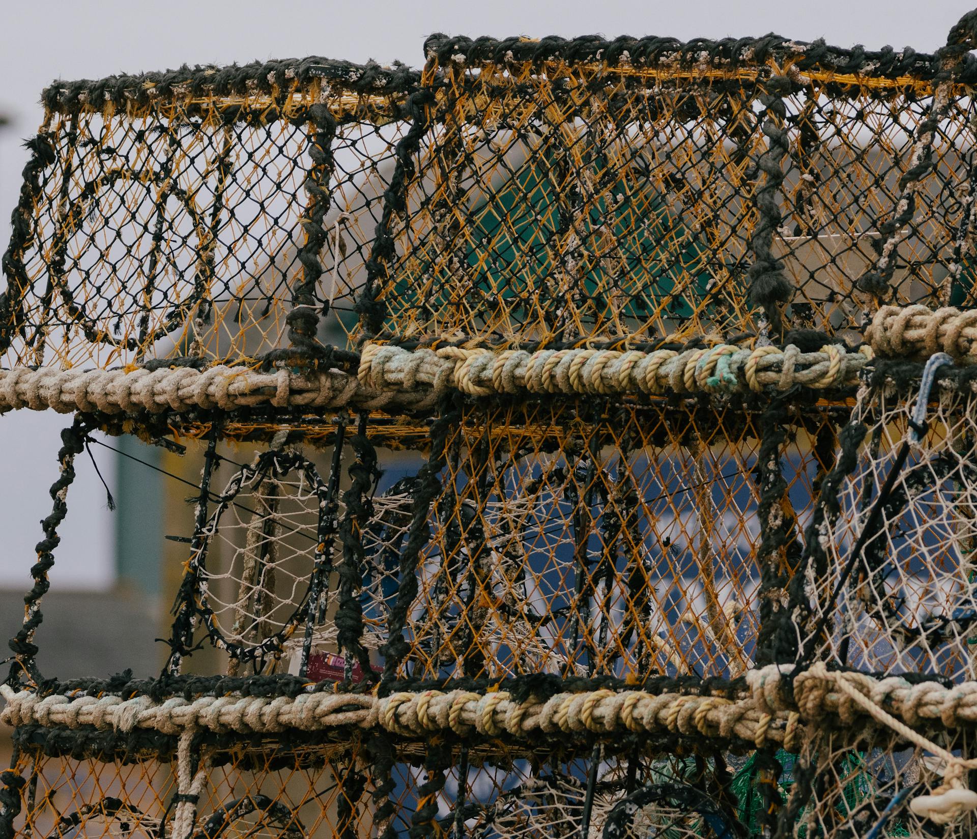 Detailed view of fishing nets and ropes at a harbor, showcasing marine equipment.