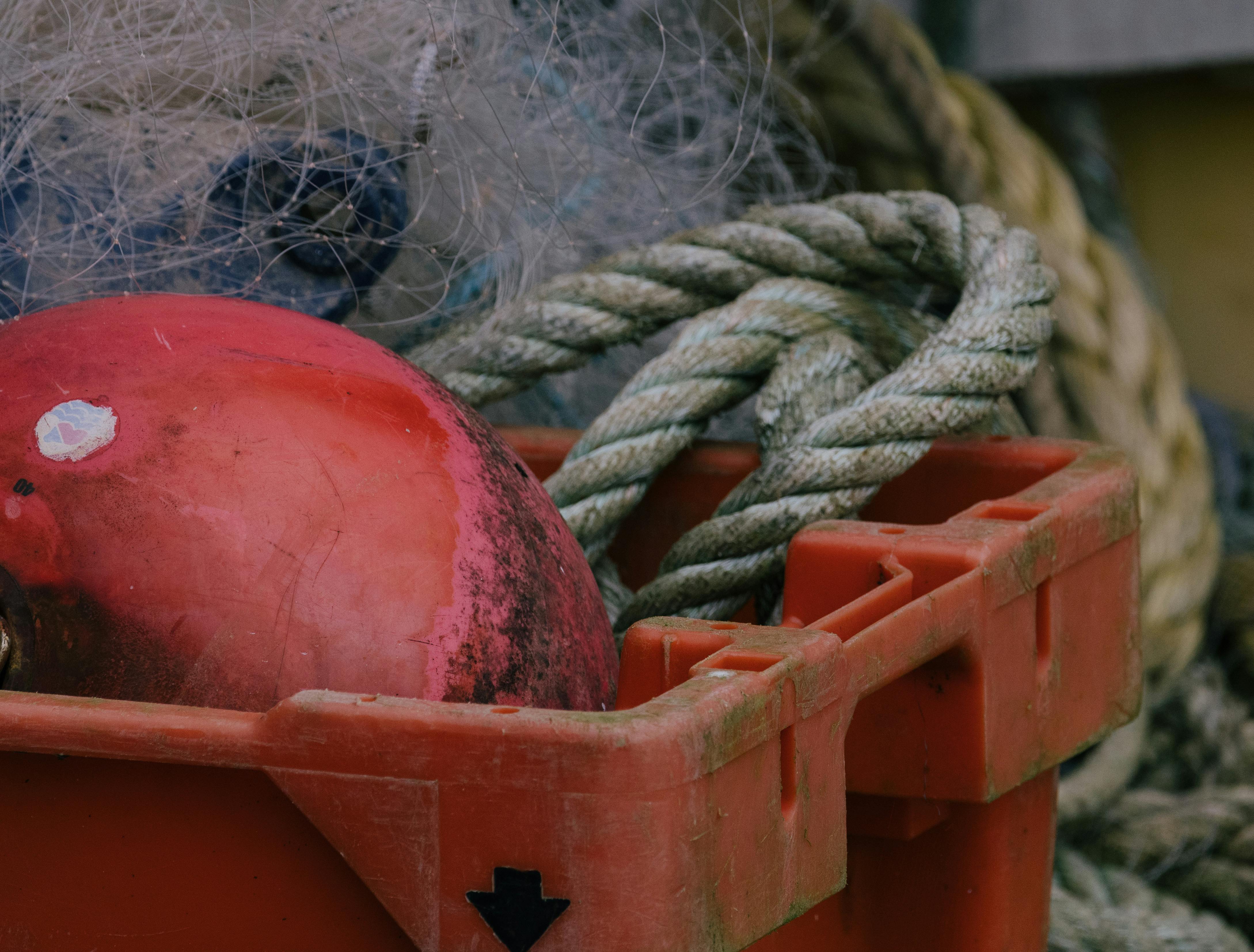 Close-up of Lead Rope Hanging on a Hook · Free Stock Photo