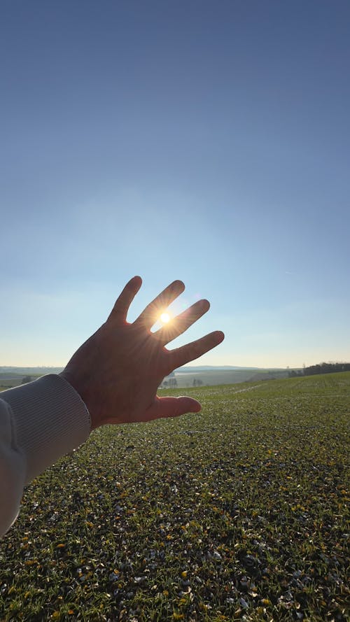 hand with sun
