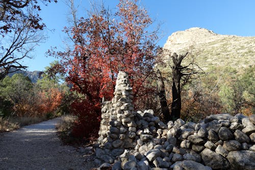 Δωρεάν στοκ φωτογραφιών με background, tx, βουνά