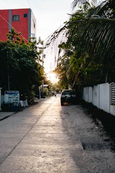 Explore an urban street in Moalboal, Philippines, captured beautifully during sunset with lush greenery and city vibes.