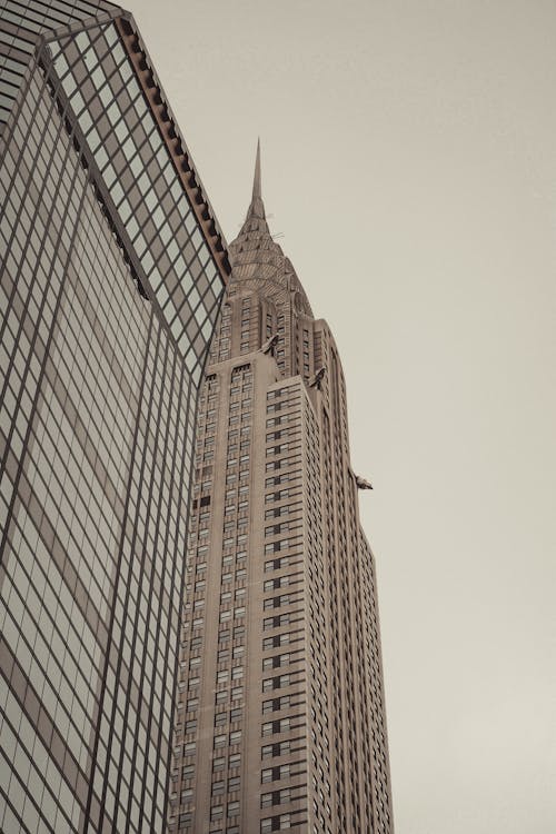 Free Empire State Building in Manhattan Stock Photo